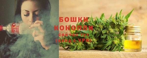 индика Верхний Тагил