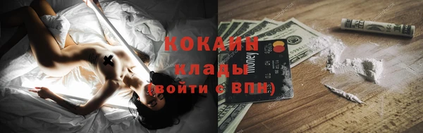 индика Верхний Тагил