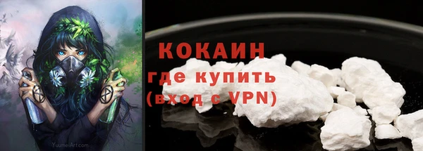 амф Верея