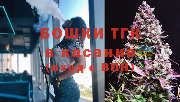 индика Верхний Тагил