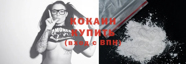индика Верхний Тагил