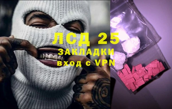 амф Верея
