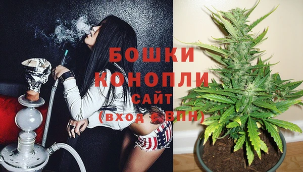 индика Верхний Тагил