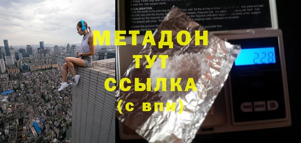 индика Верхний Тагил