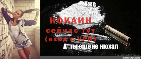 индика Верхний Тагил