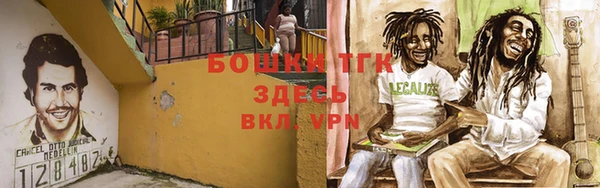 амф Верея