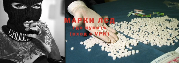 амф Верея