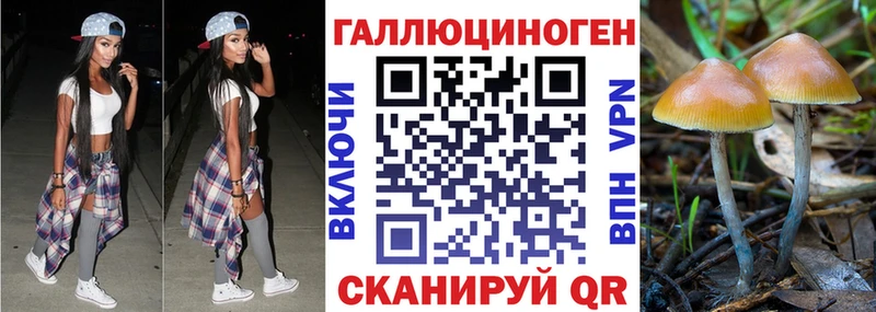 hydra как зайти  darknet официальный сайт  Псилоцибиновые грибы Psilocybine cubensis  Иваново 