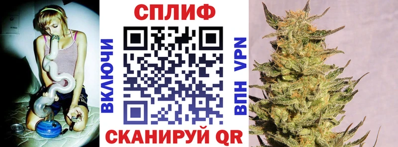 где купить наркоту Иваново Канабис план